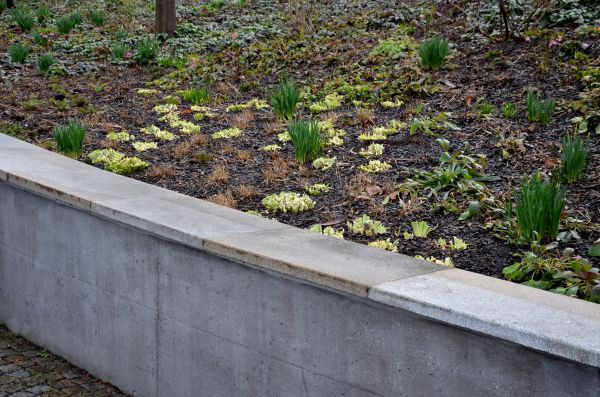 Concrete Wall Construction in Bel Air