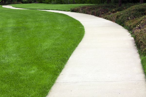 Pathway Construction in Bel Air