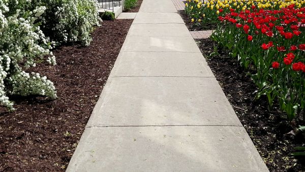 Cement Sidewalk Installation in Bel Air