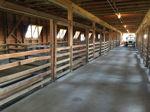 Barn Slab Construction in Bel Air