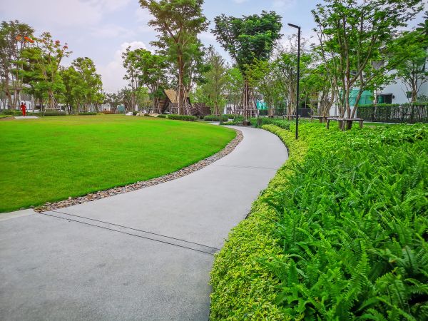 Cement Walkway Service in Bel Air