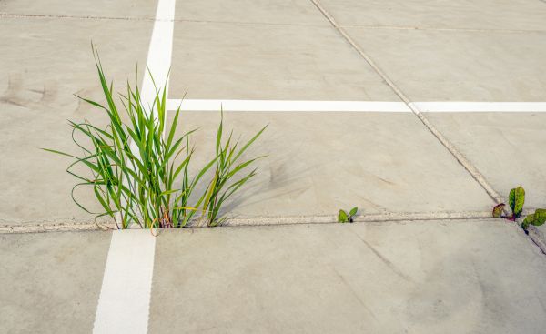 Concrete Parking Installation in Bel Air