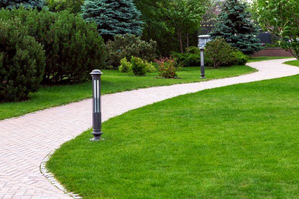 Backyard Sidewalk Installation in Bel Air
